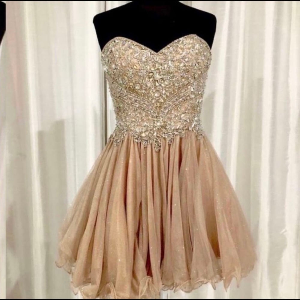 Terani couture dress